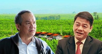 Vì sao HAGL Agrico lỗ quý 4/2022 tới 2.800 tỷ đồng?