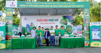 PSW bị phạt và truy thu thuế số tiền gần 1 tỷ đồng