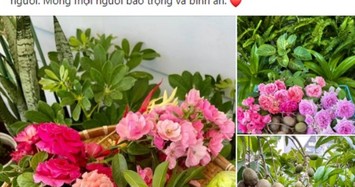 Ngắm vườn trái cây trĩu quả trong biệt thự của Quyền Linh