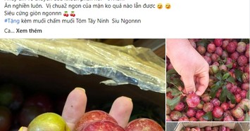 'Cháy hàng' mận hậu trái mùa dù giá gần nửa triệu đồng/kg 