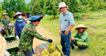 Đi xem vườn sầu riêng lớn nhất thế giới của ông Đoàn Nguyên Đức 