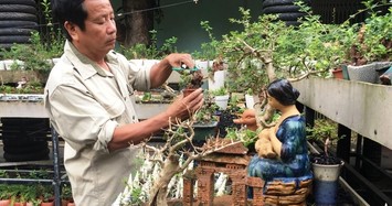 Chi tiết những cây bonsai mini của lão nông Nha Trang