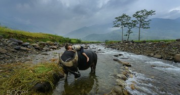 Việt Nam đầy lôi cuốn qua ống kính nhiếp ảnh gia Thái Lan