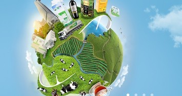 Vinamilk sẽ gom thêm 41 triệu cổ phiếu GTN từ Invest Tây Đại Dương?