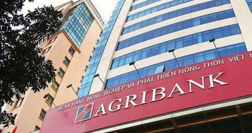 Agribank sẽ tăng thêm 1.200 tỷ lợi nhuận nếu được tăng vốn thêm 3.500 tỷ năm 2020