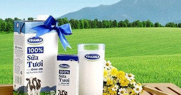 Vinamilk báo lãi ròng quý 2 đạt 3.072 tỷ đồng, tăng gần 6% so cùng kỳ