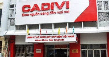 Cadivi tạm ứng cổ tức 30%, Gelex nhận về hơn 162 tỷ đồng