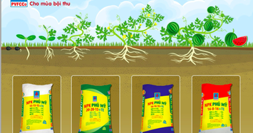 DPM: Sản lượng sản xuất phân bón Phú Mỹ tăng cao trong tháng 1 và 2
