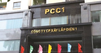 PC1: Sản lượng điện gió tích cực hơn từ việc giá khí tăng