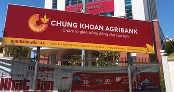 Chứng khoán Agribank báo lãi quý 2 lao dốc 92% do không còn đột biến từ hoạt động khác