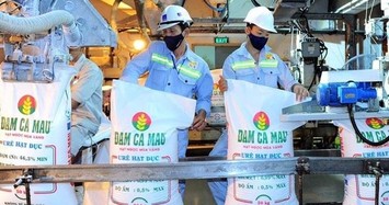 Đạm Cà Mau (DCM) bị phạt vi phạm về thuế hơn 6 tỷ đồng