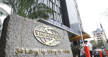 Vinaconex 2023: Xây lắp là điểm sáng, dự án Cát Bà Amatina là điểm trừ