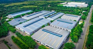 Novaland: Không liên quan đến phát hành trái phiếu của Tân Thành Long An