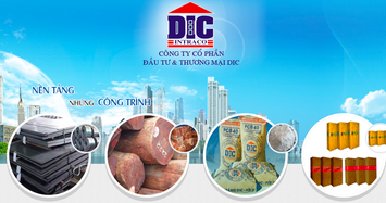 DIC bị xử phạt, kết quả kinh doanh ngày càng thoái trào