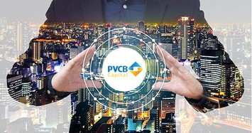 PVCB Capital bị phạt 175 triệu đồng do vi phạm về đầu tư tài chính