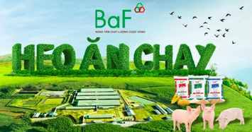 BAF sắp phát hành 68,4 triệu cổ phiếu khi lợi nhuận lao dốc, vay nợ tăng vọt