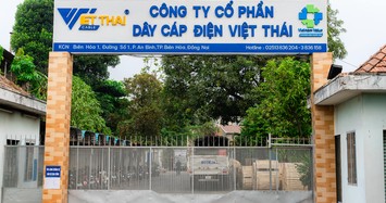 Cha con Chủ tịch Dây cáp điện Việt Thái thoái 49% vốn, Ủy viên HĐQT gom vào