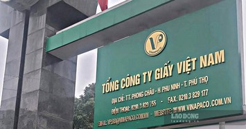 Thanh tra Tổng Công ty Giấy Việt Nam về quản lý đất nông, lâm nghiệp