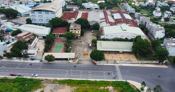 Vợ chồng chủ đậu phộng Tân Tân cùng em trai trốn thuế, không chấp hành án