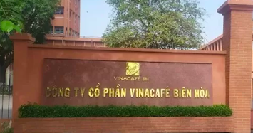  Xử phạt và buộc di dời nhà máy Bibica và Vinacafé Biên Hoà