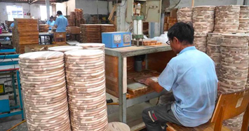 Cty Chế biến hàng xuất khẩu Đồng Nai bị phạt 310 triệu đồng về môi trường