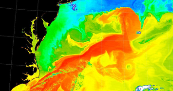 Cảnh báo về sự sụp đổ của dòng hải lưu Gulf Stream khiến thế giới thảm khốc 