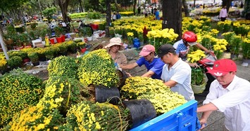 Hành động đập nát hoa chiều 30 Tết là sự hằn học “không ăn thì đạp đổ” 