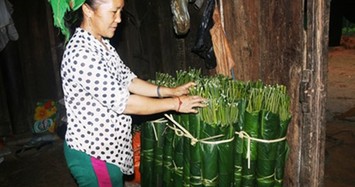 Vào rừng “săn” lá dong, thu tiền triệu mỗi ngày