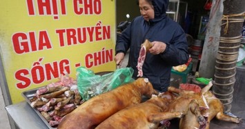 Ngôi làng ở Hà Nội ăn 4 tấn thịt chó trong ngày Tết