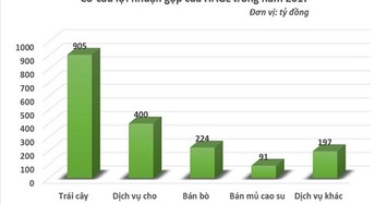 Sau “quả ngọt” U23, bầu Đức đón tin vui từ kết quả kinh doanh