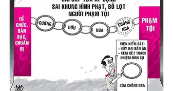 Bi hài vụ án tổ chức trộm chó, vợ bị xử, chồng "thoát"