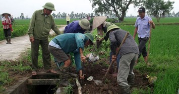 Hội Nông dân kêu gọi bà con cùng nhau diệt chuột