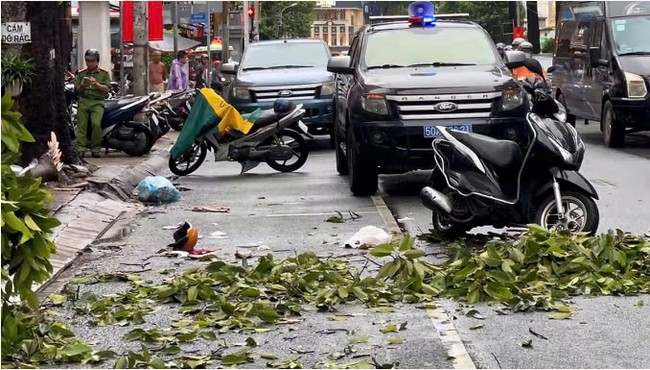 Một phụ nữ tử vong do nhánh cây rơi trúng đầu trong mưa lớn