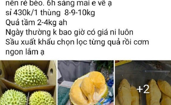 "Giải cứu sầu riêng' giá rẻ, thực hư thế nào?