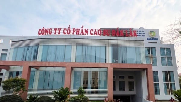 Công an tỉnh Đắk Lắk khởi tố Tổng giám đốc Công ty Cổ phần Cao su Đắk Lắk 