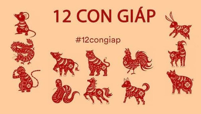 Tử vi tuần từ 14 đến 20/9/2020 cho 12 con giáp: Mão, Thìn, Dậu vào bảng vàng