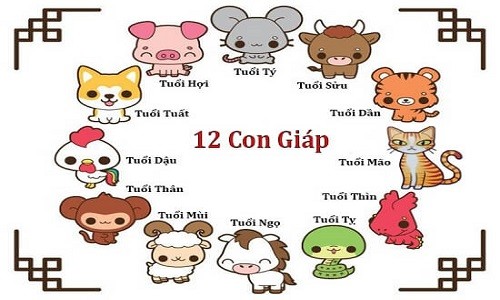 Tử vi tuần 7/12/2020 đến 13/12/2020 cho 12 con giáp: Thân Tuất Tỵ vào bảng vàng may mắn