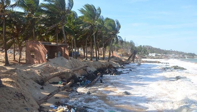 Biển Phan Thiết sạt lở nghiêm trọng 