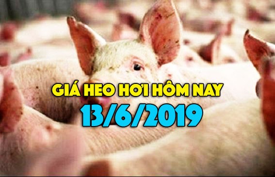 Giá heo hơi hôm nay 13/6: Giá heo miền Nam vẫn giữ xu hướng tăng