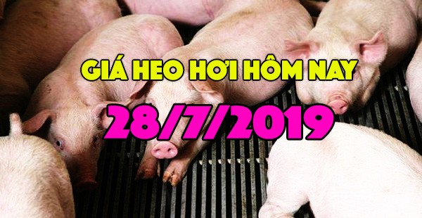 Giá heo hơi hôm nay 28/7: Giá heo hơi miền Bắc cao nhất, miền Nam giảm nhẹ