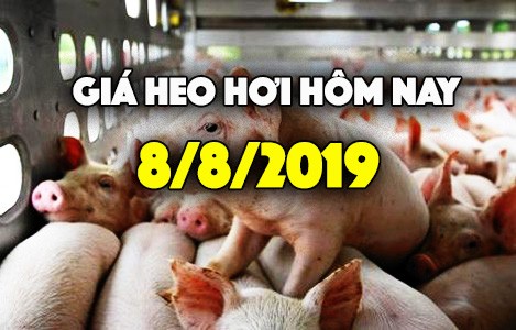 Giá heo hơi hôm nay 8/8: Giá heo miền Nam tăng, thoát ngưỡng dưới 30.000 đồng/kg