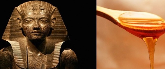 Người hầu của pharaoh Ai Cập thường bôi mật ong lên người để làm gì?
