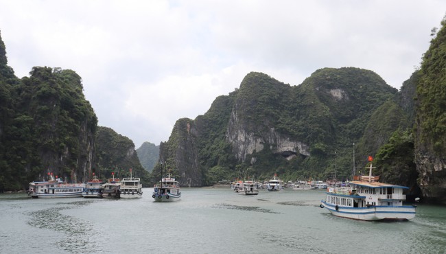 Nhiều tàu du lịch Hải Phòng hoạt động trái phép trên vịnh Hạ Long