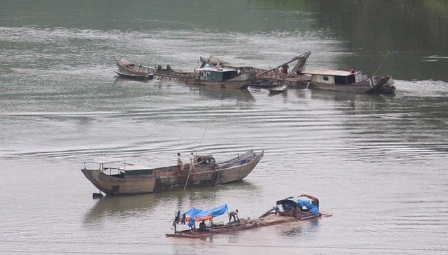 Dân dựng cọc chống tàu cát trên sông Bồ