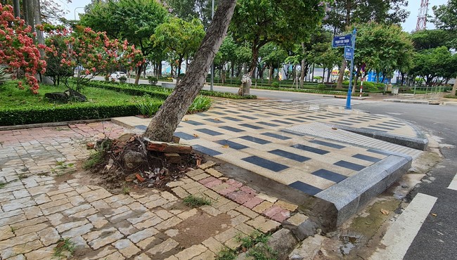 Đồng Nai: 3/5 gói thầu dịch vụ công ích tại Nhơn Trạch đã tìm được nhà thầu