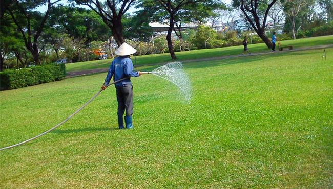 Gói thầu chăm sóc mảng xanh ở Nhà Bè, TPHCM hơn 9 tỷ về tay ai?