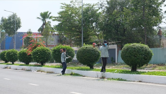 Đồng Nai: Gói thầu chăm sóc cây xanh tại Vĩnh Cửu về tay ai?