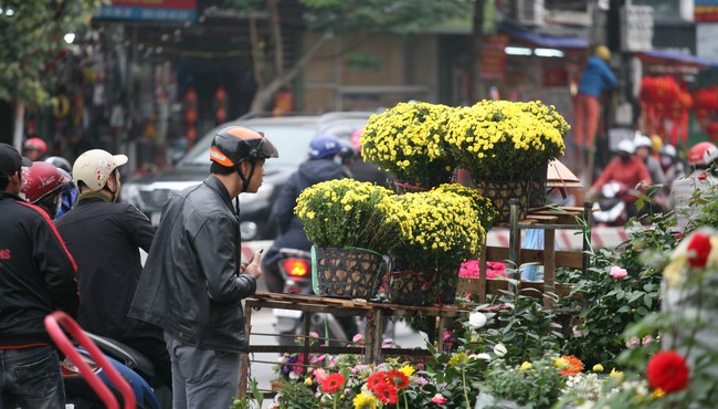 Dạo quanh phố hoa Hoàng Hoa Thám ngày cận Tết 