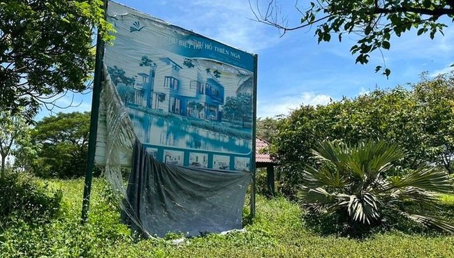 Cảnh hoang tàn tại dự án khu dân cư Giang Điền đang bị thanh tra 