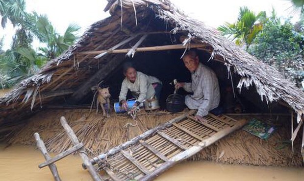 Những hình ảnh tang thương miền Trung: Trâu bò vào nhà, xe máy treo lên cao tránh lũ